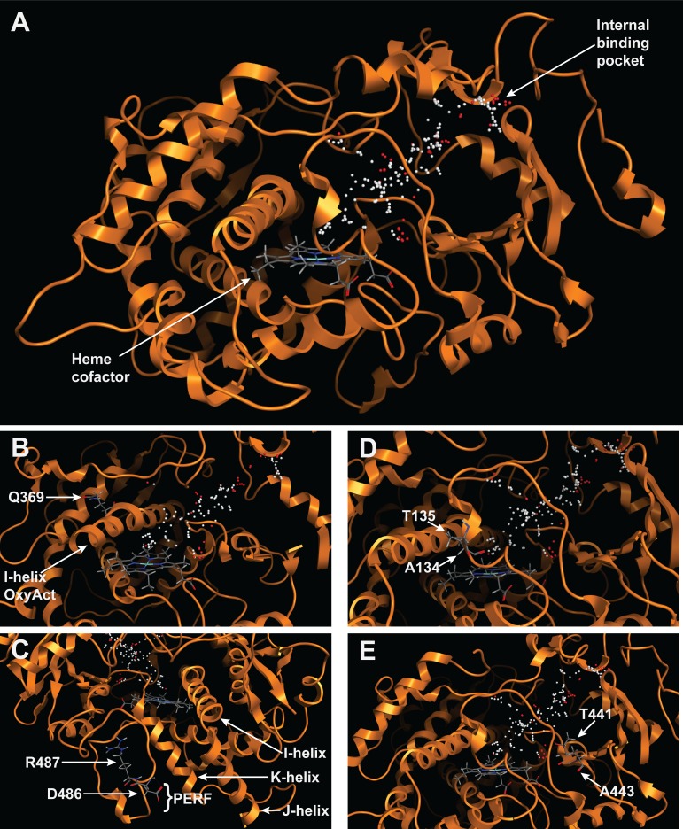 Fig 8