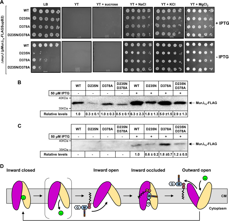 FIG 2