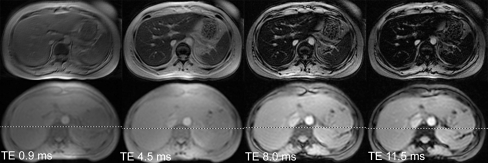 Fig. 2