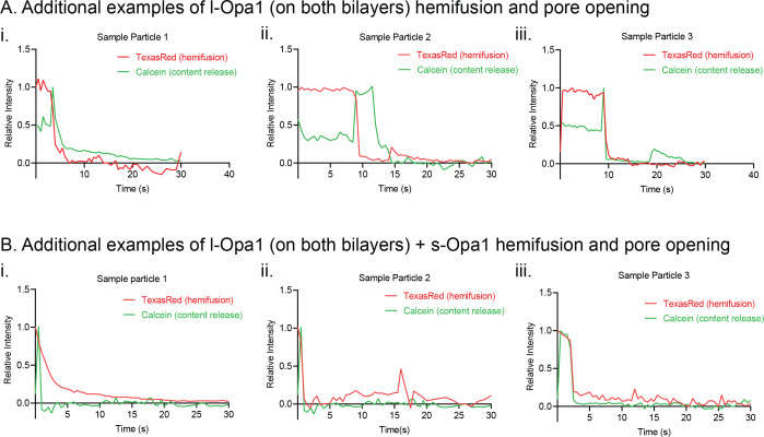 Figure 6—figure supplement 1.