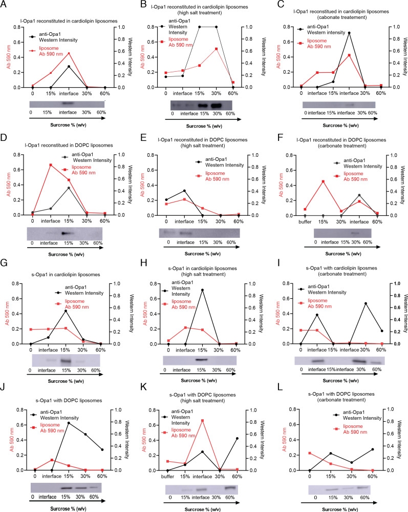 Figure 2—figure supplement 2.