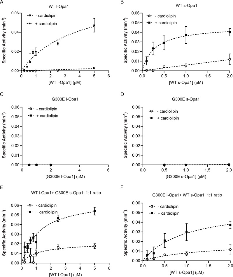 Figure 2—figure supplement 1.