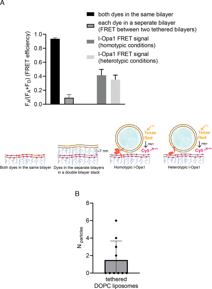 Figure 4—figure supplement 1.