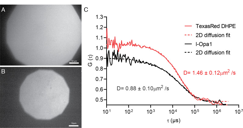 Figure 2—figure supplement 3.