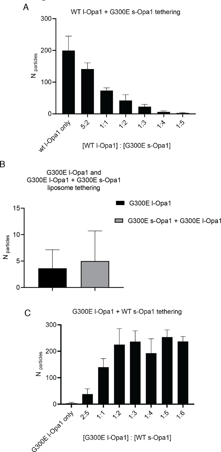 Figure 3—figure supplement 1.