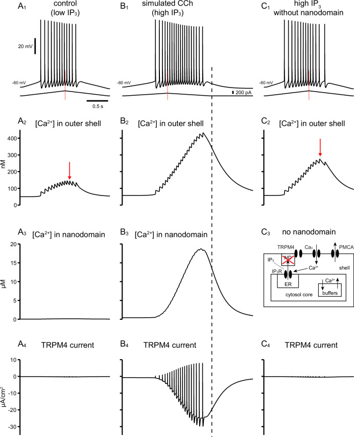 Figure 11—figure supplement 1.