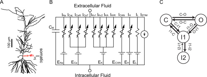 Figure 11.