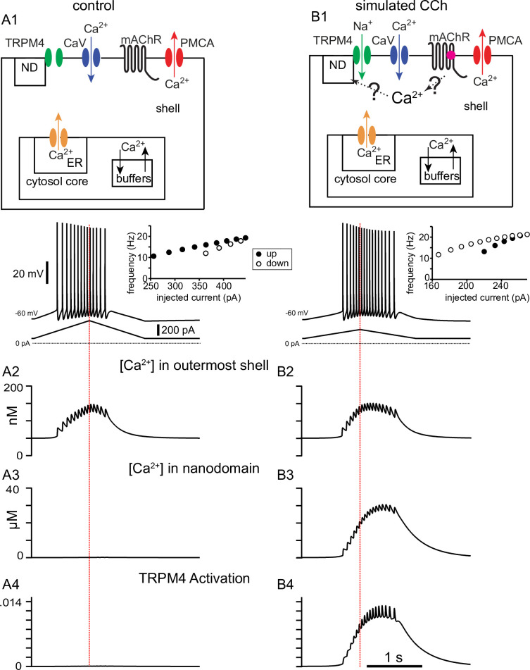 Figure 7.