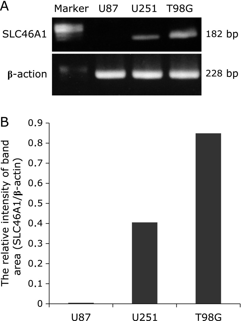 Fig. 4