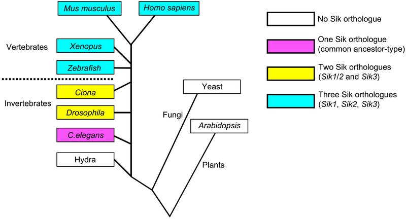 Extended Data Figure 7 |