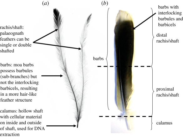 Figure 1.