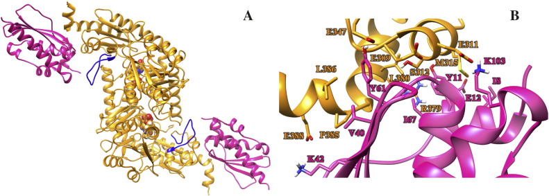 Fig. 1