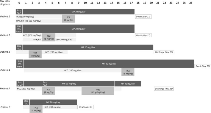 FIGURE 1