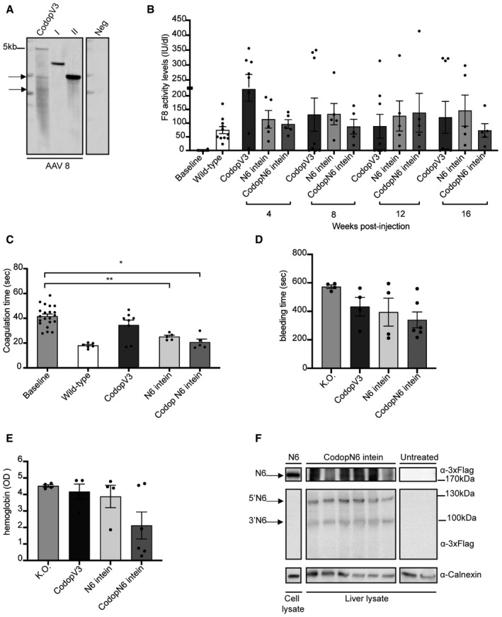 Figure 5