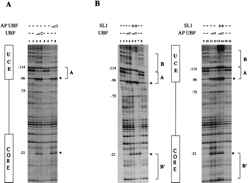 FIG. 5