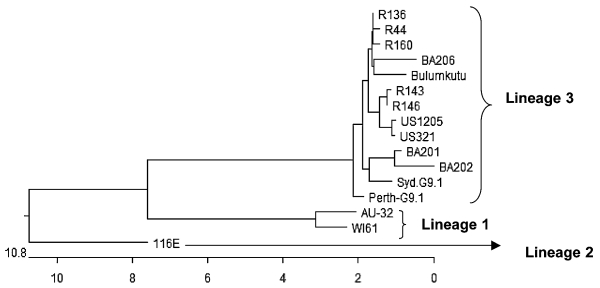 FIG. 1.