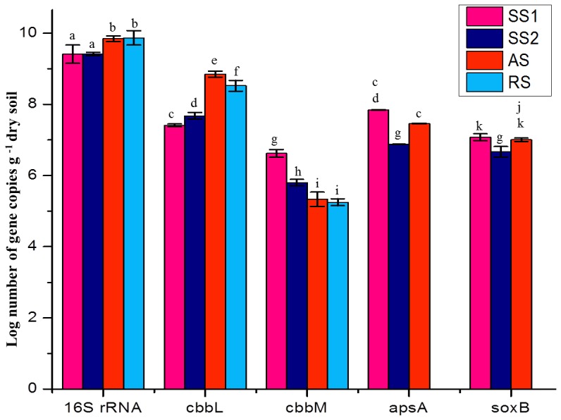 Figure 5