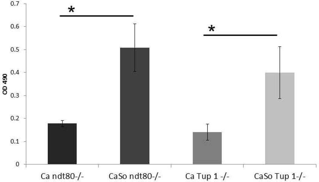 Figure 9