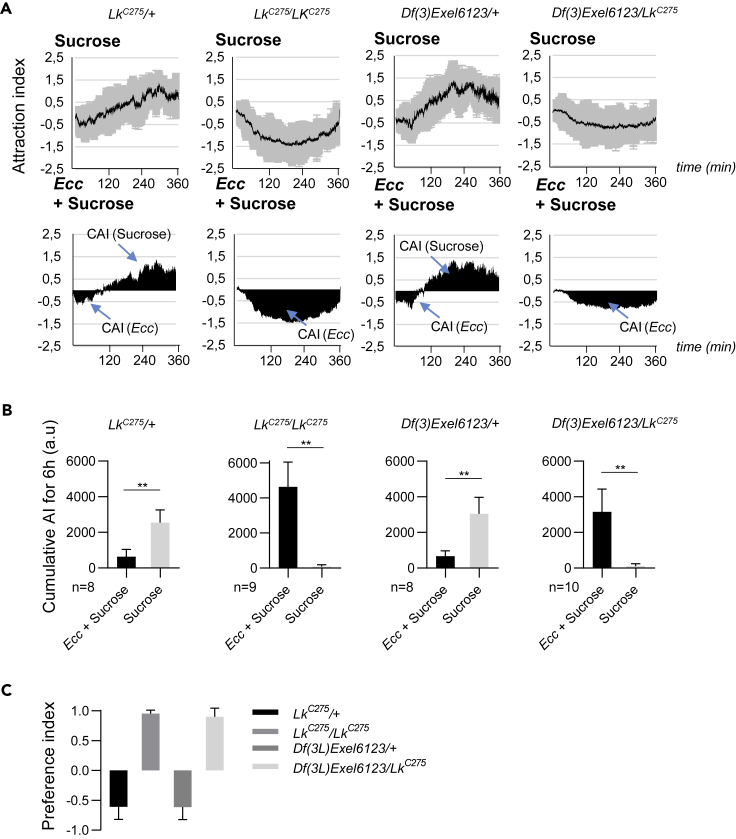 Figure 6