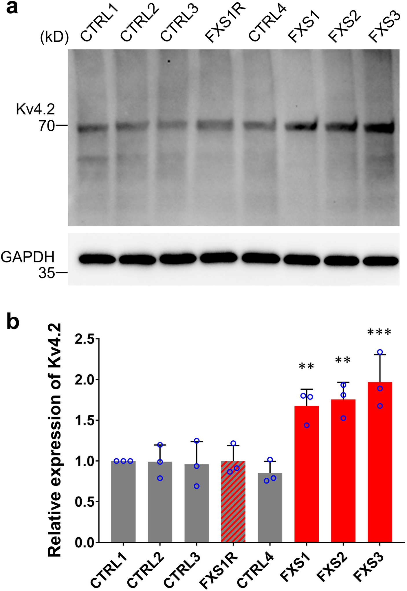 Extended Data Fig. 6