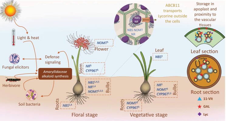 Fig. 2.