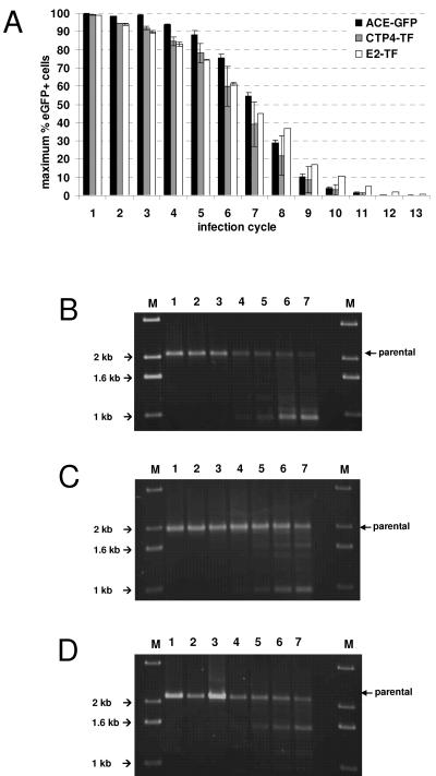 FIG. 5.