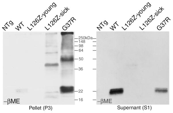 Fig 5