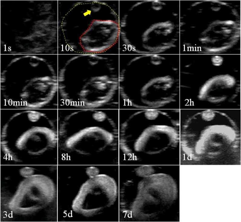 Fig 2