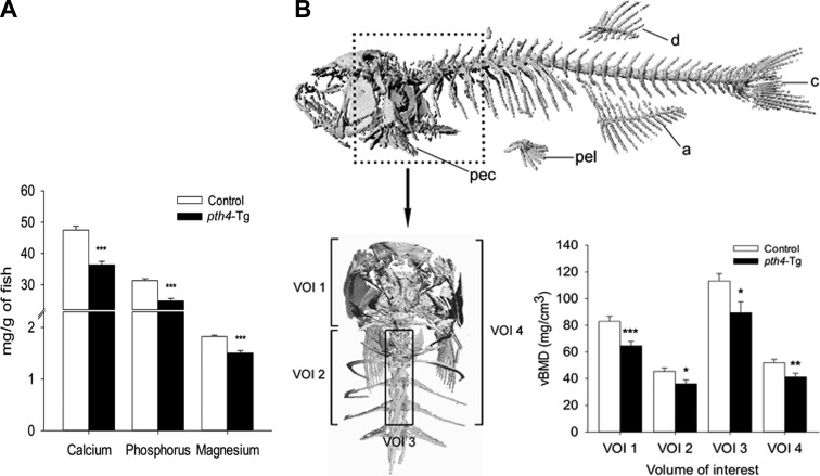 Figure 7.