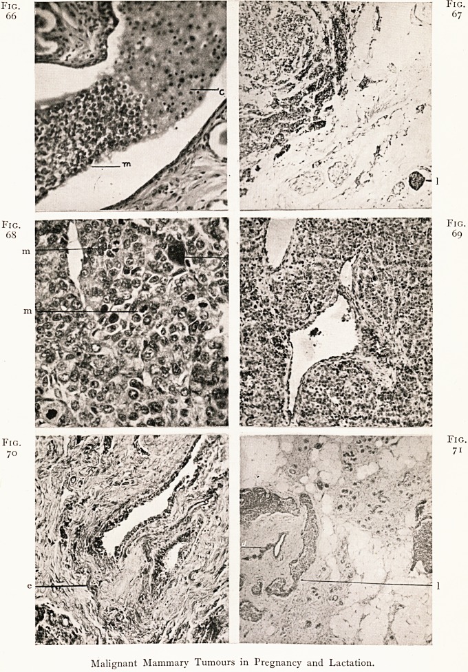 Fig. 66 Fig. 67 Fig. 68 Fig. 69 Fig. 70 Fig. 71