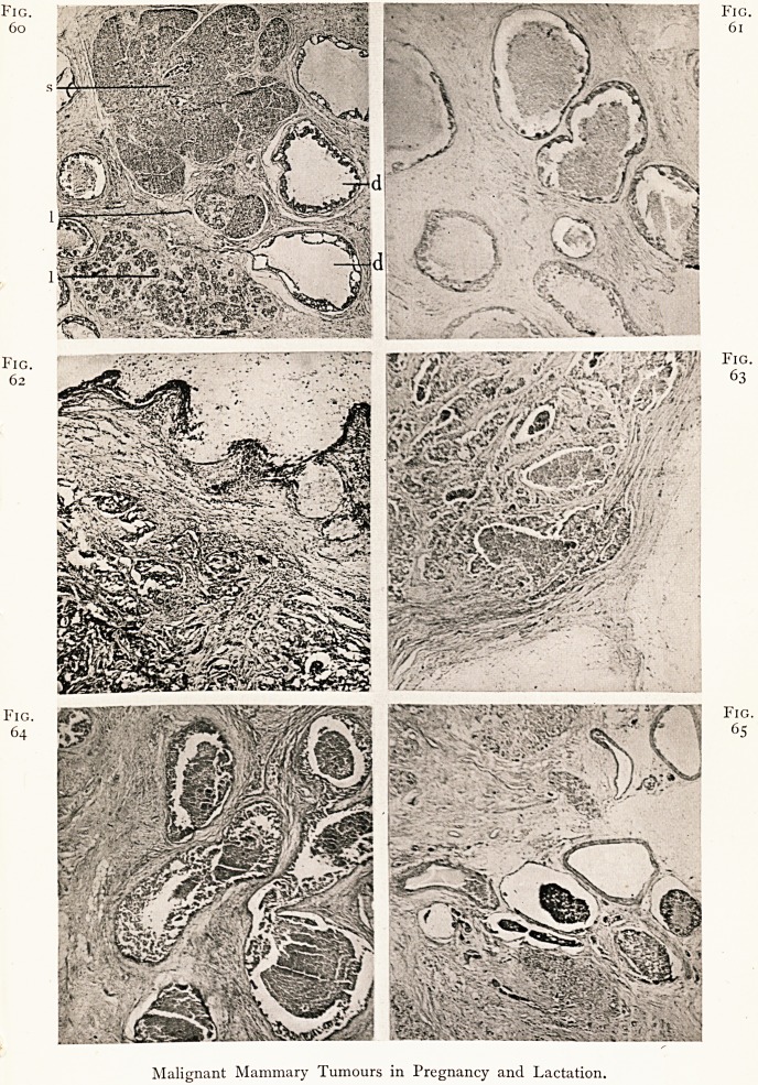 Fig. 60 Fig. 61 Fig. 62 Fig. 63 Fig. 64 Fig. 65