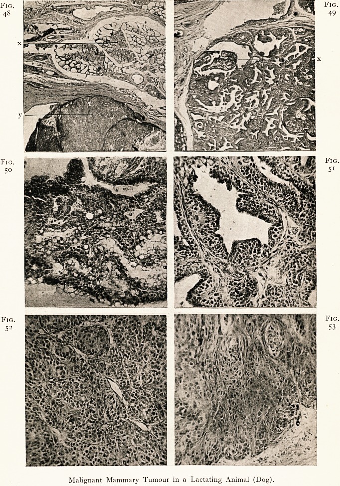 Fig. 48 Fig. 49 Fig. 50 Fig. 51 Fig. 52 Fig. 53