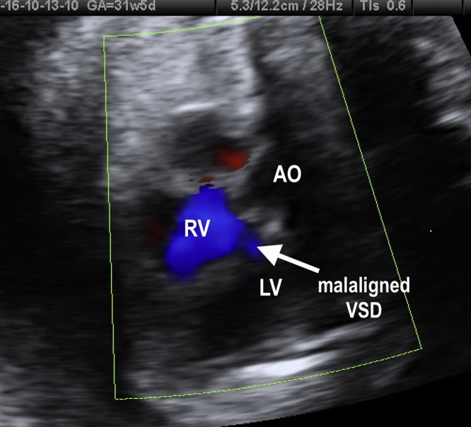 Fig. 10