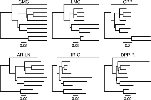 FIG 1.