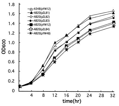 FIG. 4