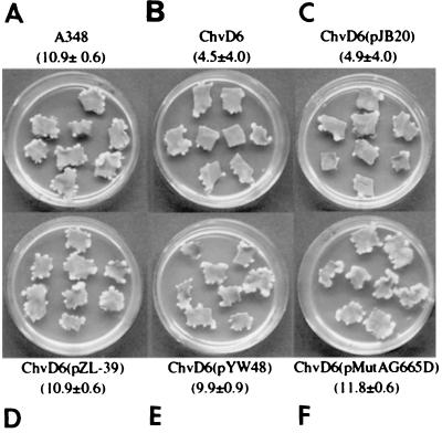 FIG. 3