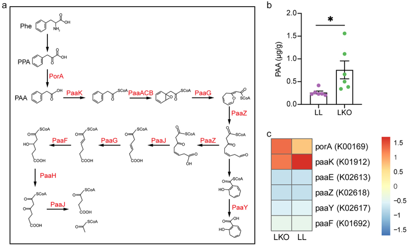 Figure 9.