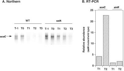 FIG. 5.