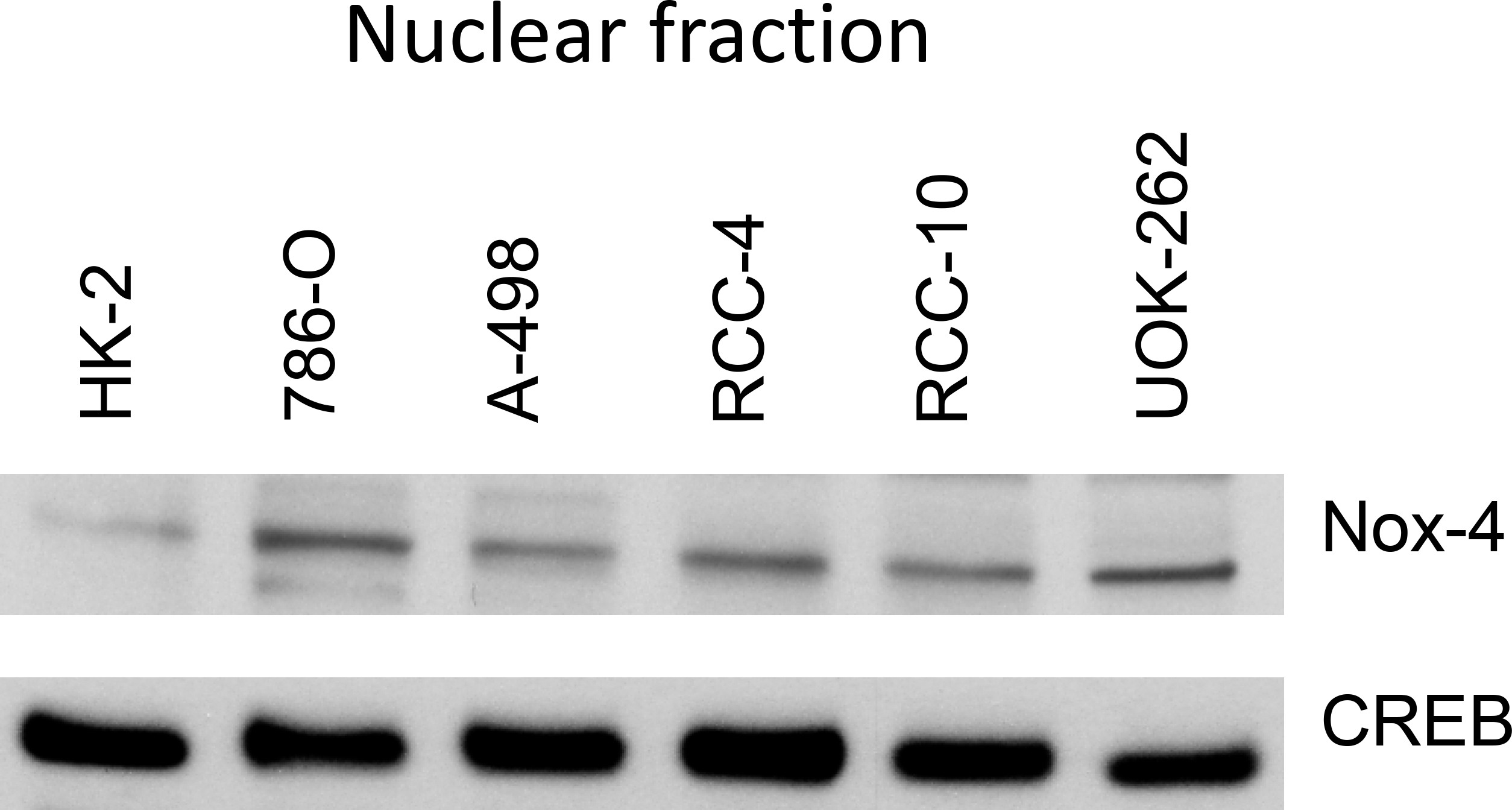 Figure 9.