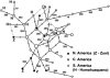 Figure  4