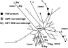Figure  3