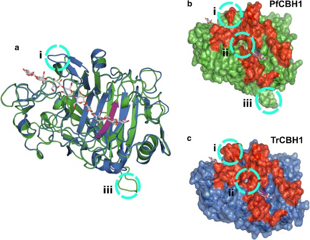 Fig. 3