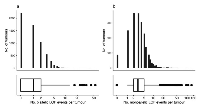 Figure 1—figure supplement 1.