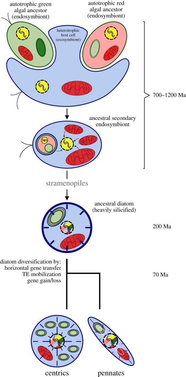 Figure 4.