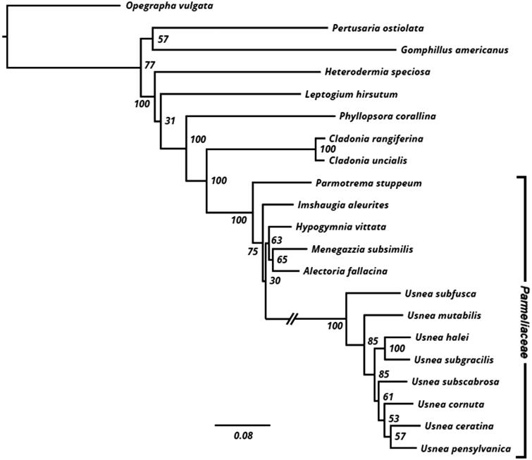 Figure 1.