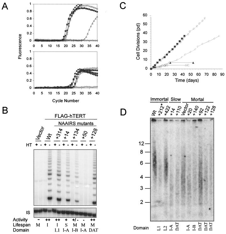 FIG. 1