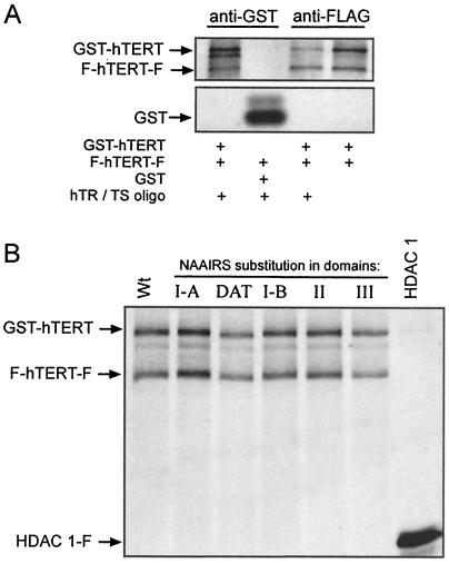 FIG. 7