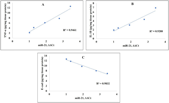 Fig. 10