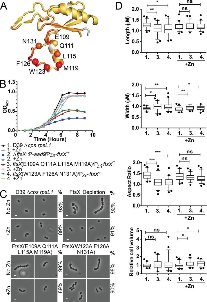 FIG 3