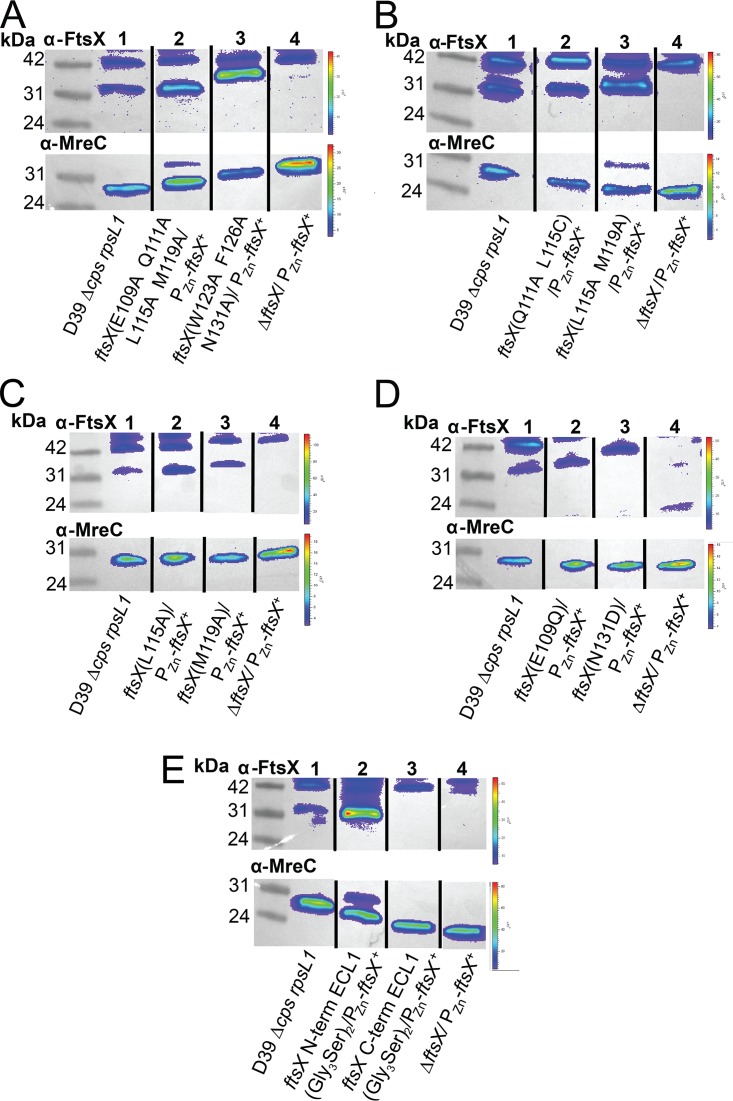 FIG 4